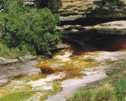 as-belas-aguas-das-cachoeiras-de-ibitipoca-3