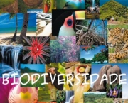 biodiversidade-da-venezuela-3