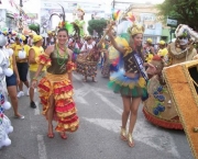 carnaval-em-vitoria15