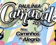 carnaval-paulinia7