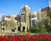 Casa Loma with Tulips in the foreground, Toronto, Ontario
