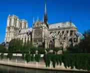 Catedral de Notre Dame (16)