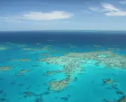 corais-australia-1