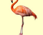 flamingos-e-degelo-dos-andes-1