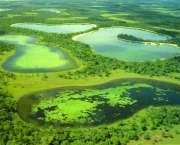 Hotel Fazenda Pantanal (4).jpg