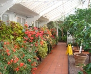 jardim-botanico-de-birmingham5