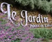 Le Jardin - Parque de Lavanda (2)