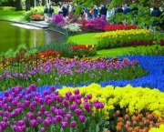 maior-parque-de-flores-do-mundo-4