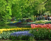maior-parque-de-flores-do-mundo-6