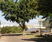 municipio-de-aracatuba-3