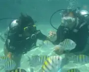 o-mergulho-profissional-no-brasil-3