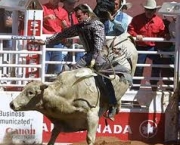o-rodeio-calgary-stampede-14