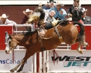 o-rodeio-calgary-stampede-17