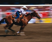 o-rodeio-calgary-stampede-18