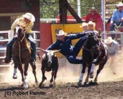 o-rodeio-calgary-stampede-2