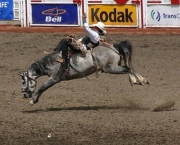 o-rodeio-calgary-stampede-9