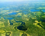 pantanal-mato-grosso-do-sul-8