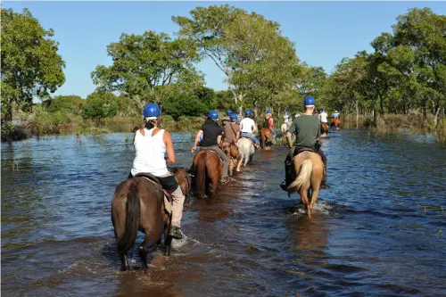 Pantanal Turismo - Bonito E Pesca | Turismo - Cultura Mix