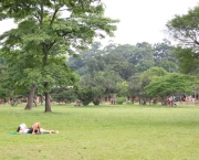 parque-do-ibirapuera-stanley-park-e-golden-gate-park-1