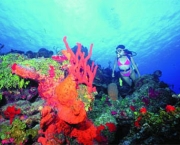 parque-nacional-arrecifes-de-cozumel-2