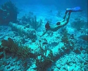 parque-nacional-arrecifes-de-cozumel-4