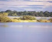 parque-nacional-do-araguaia-10
