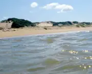 praia-de-itaunas-9