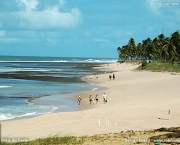praia-do-forte-8