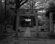shiroyama-hakusan-shrine-10