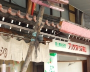 shiroyama-hakusan-shrine-12