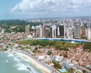 skal-brasil19