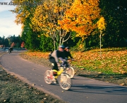 stanley-park-cyclists-big.jpg
