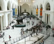 the-field-museum-3