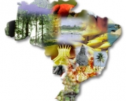 Turismo Cultural no Brasil Principais Destinos (4).jpg
