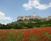 low angle shot of Assisi in May 2007