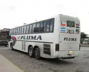 viacao-pluma-5