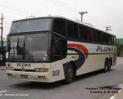 viacao-pluma-7
