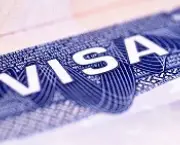 American Visa (XL)