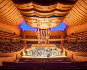 Walt Disney Concert Hall (4)
