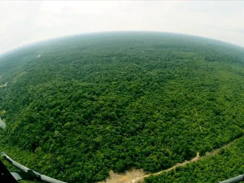Reserva Florestal