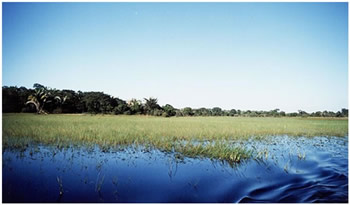 Viagem ao Pantanal