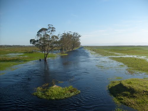 Mini Pantanal Catarinense