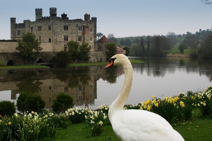 Seja Rei ou Rainha Por um Dia no Castelo na Inglaterra