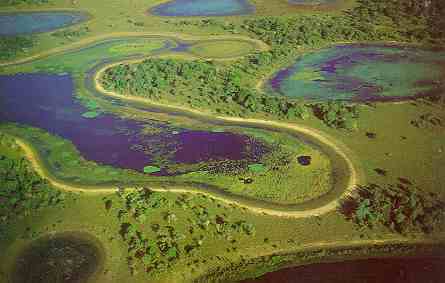 Parque Nacional do Pantanal Mato-Grossense: Destinos Mato Grosso