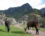 agencia-de-turismo-peru-glu-glu6