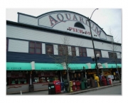 aquario-de-seattle8