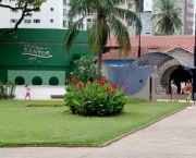 aquario-municipal-da-cidade-de-santos3