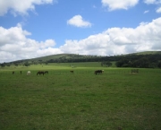 aracoiaba-da-serra-em-sao-paulo-12