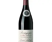 bourgogne-vinhos-e-territorios2