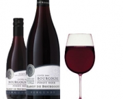 bourgogne-vinhos-e-territorios6